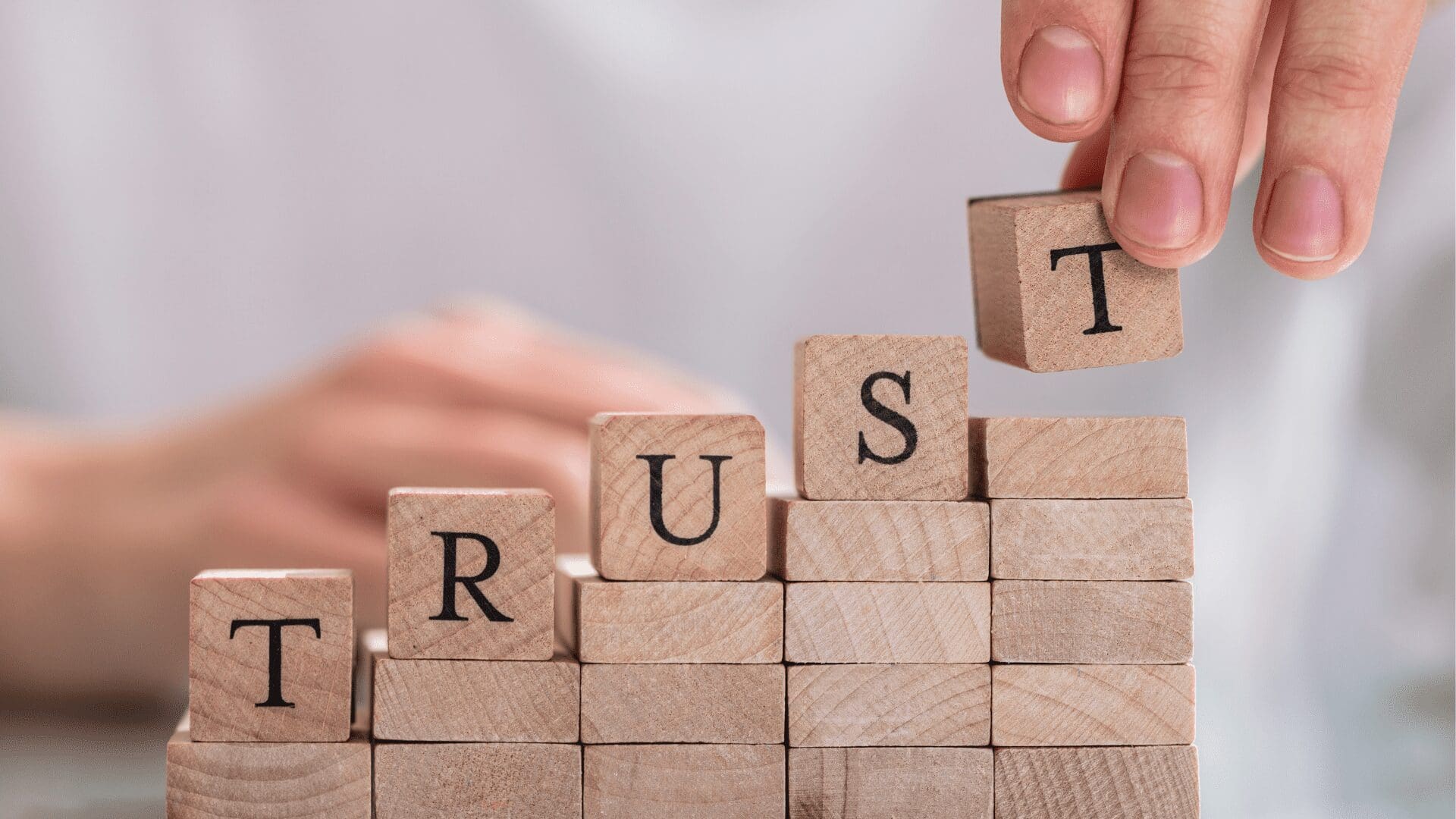 Read more about the article The Power of Trust in the Working Environment